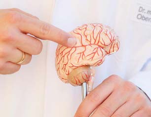 Hirngefäße Hirngefäße